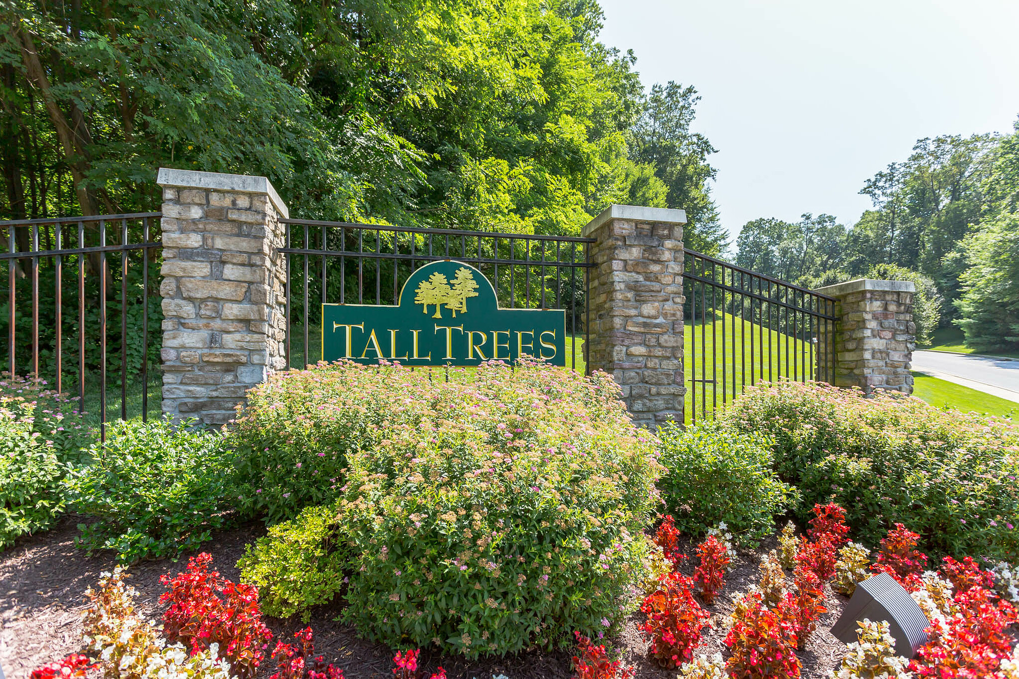 Tall Trees
